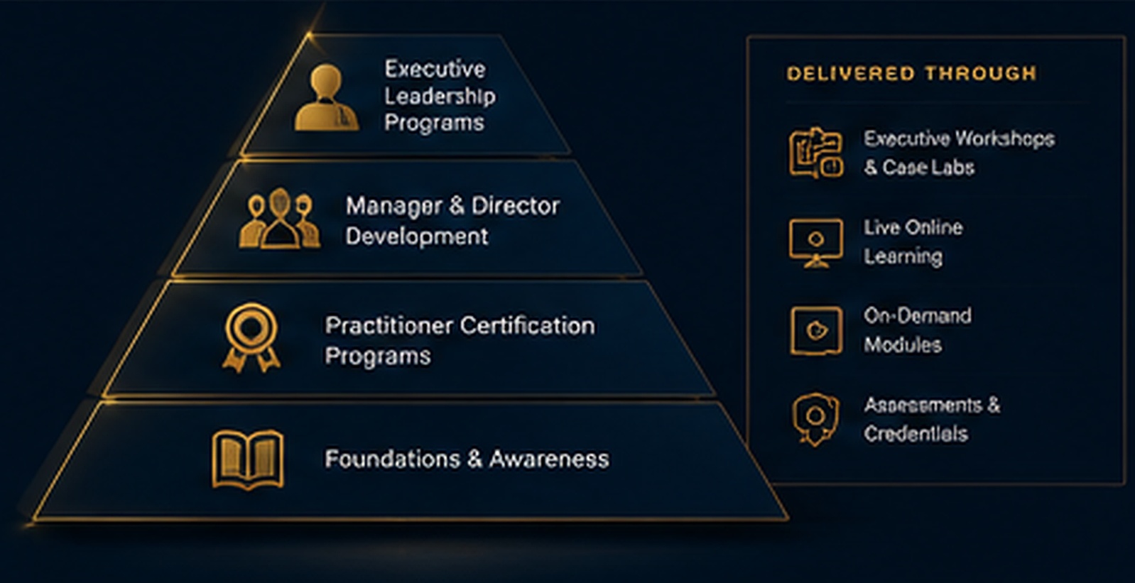DOS™ Executive Education DOS™ visual